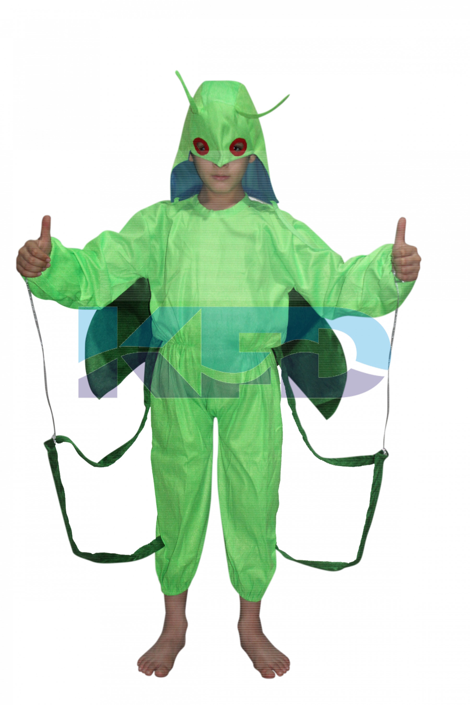 Grasshopper Insect Costume For Kids School Annual function Theme Party/Functions