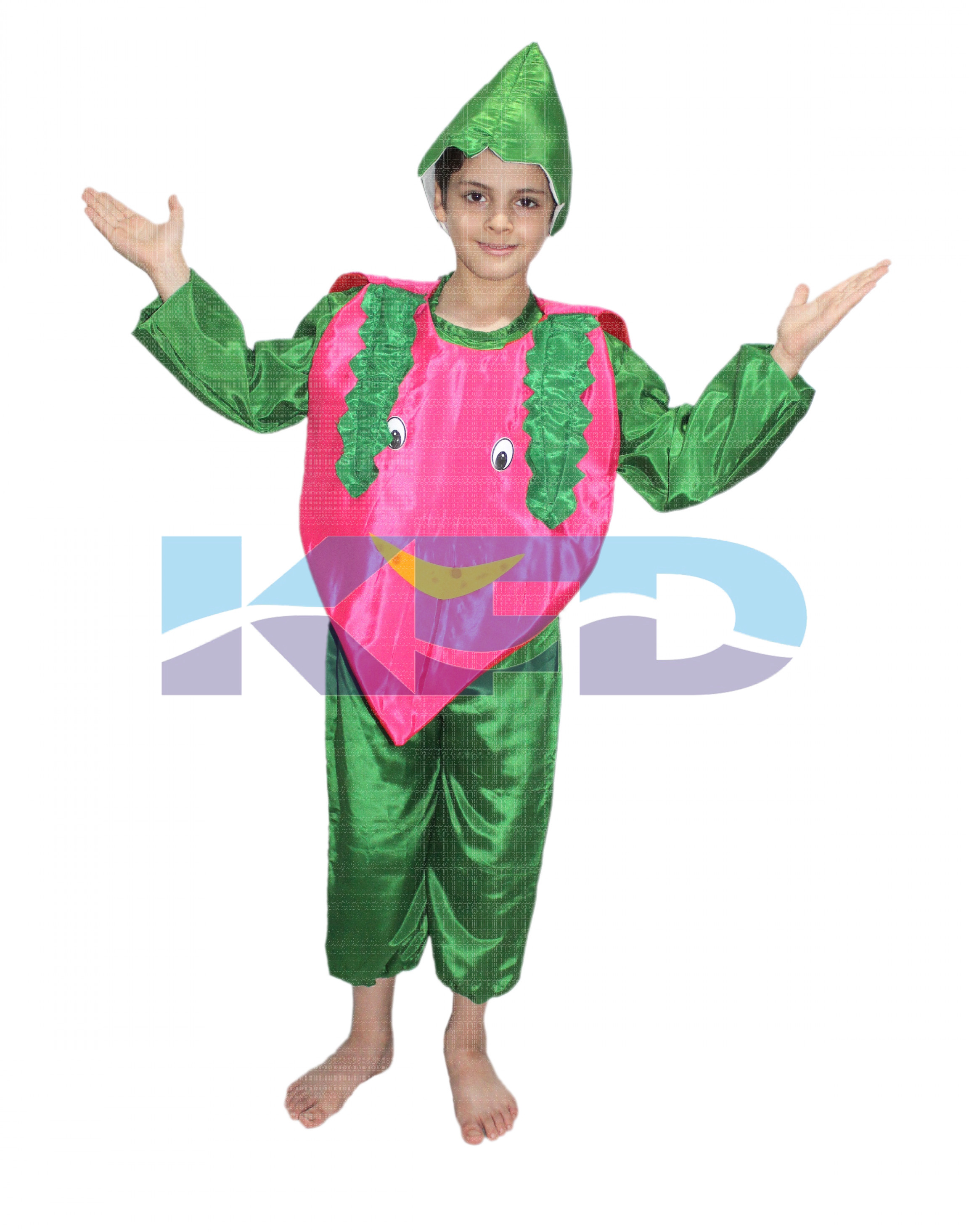 Onion fancy dress for kids,Vegetables Costume for School Annual function/Theme Party/Competition/Stage Shows Dress