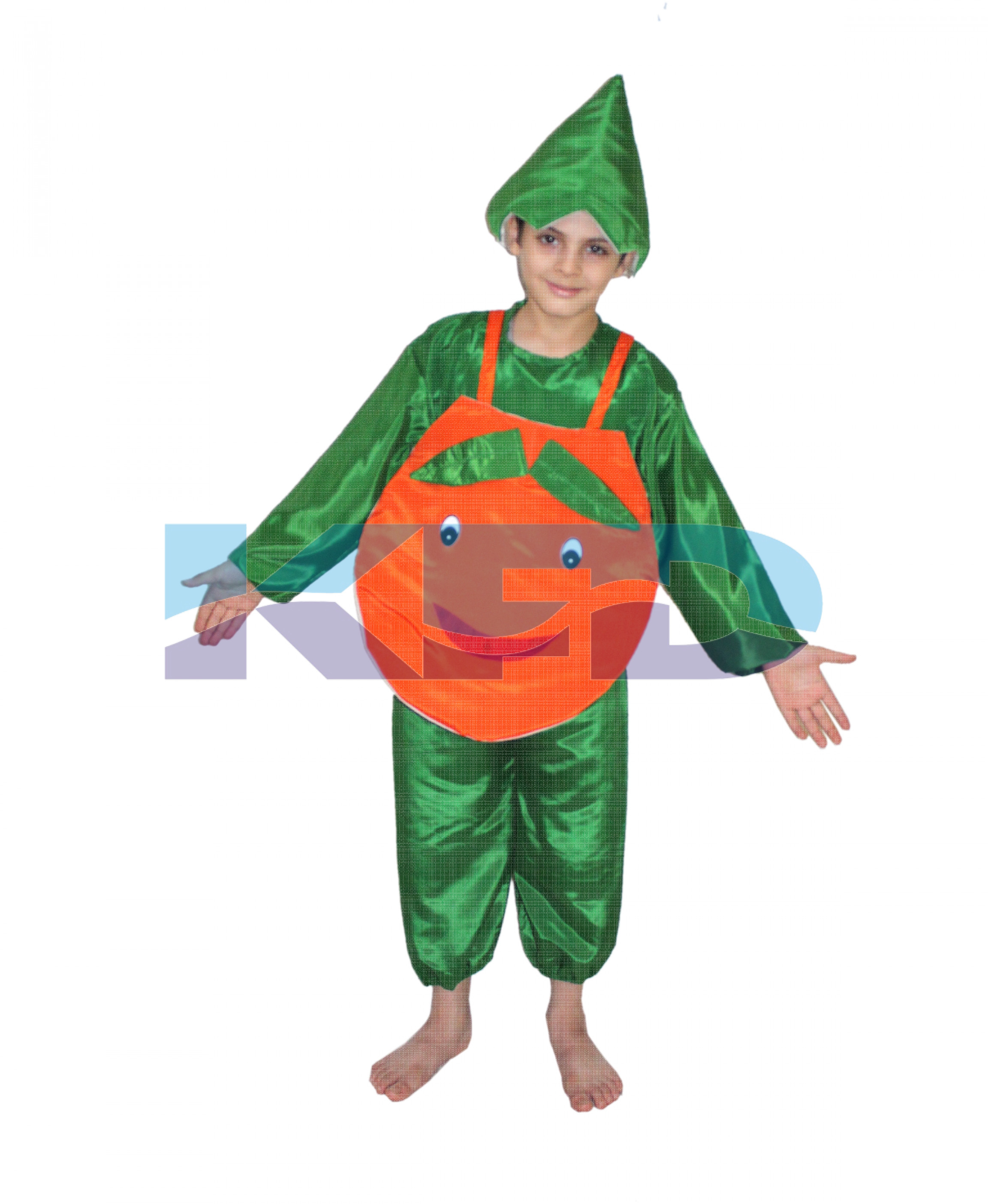 Orange fancy dress for kids,Fruits Costume for School Annual function/Theme Party/Competition/Stage Shows Dress