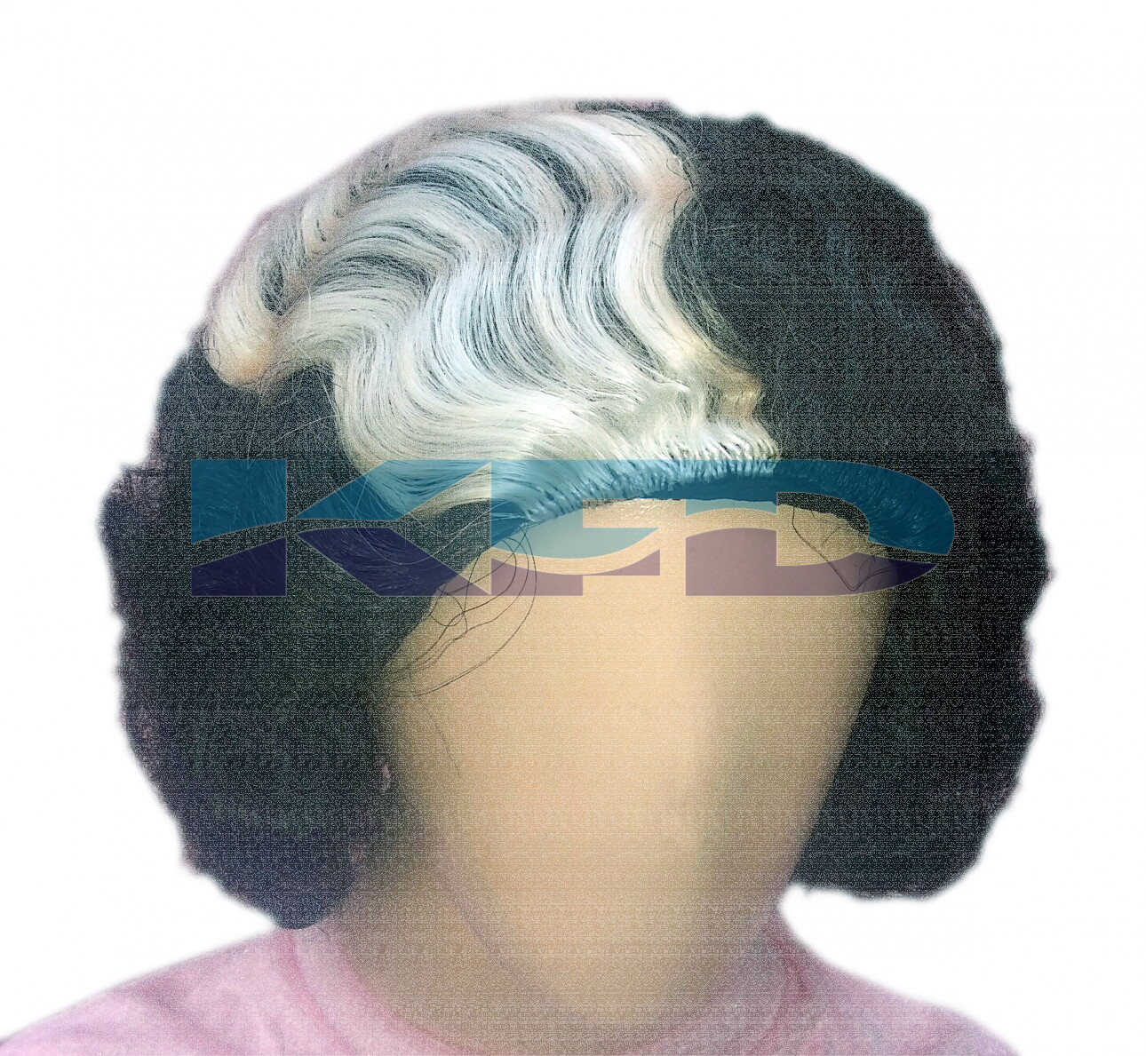 Indira Gandhi Hair Wig For School Annual function/Theme Party/Competition/Stage Shows/Birthday Party Dress