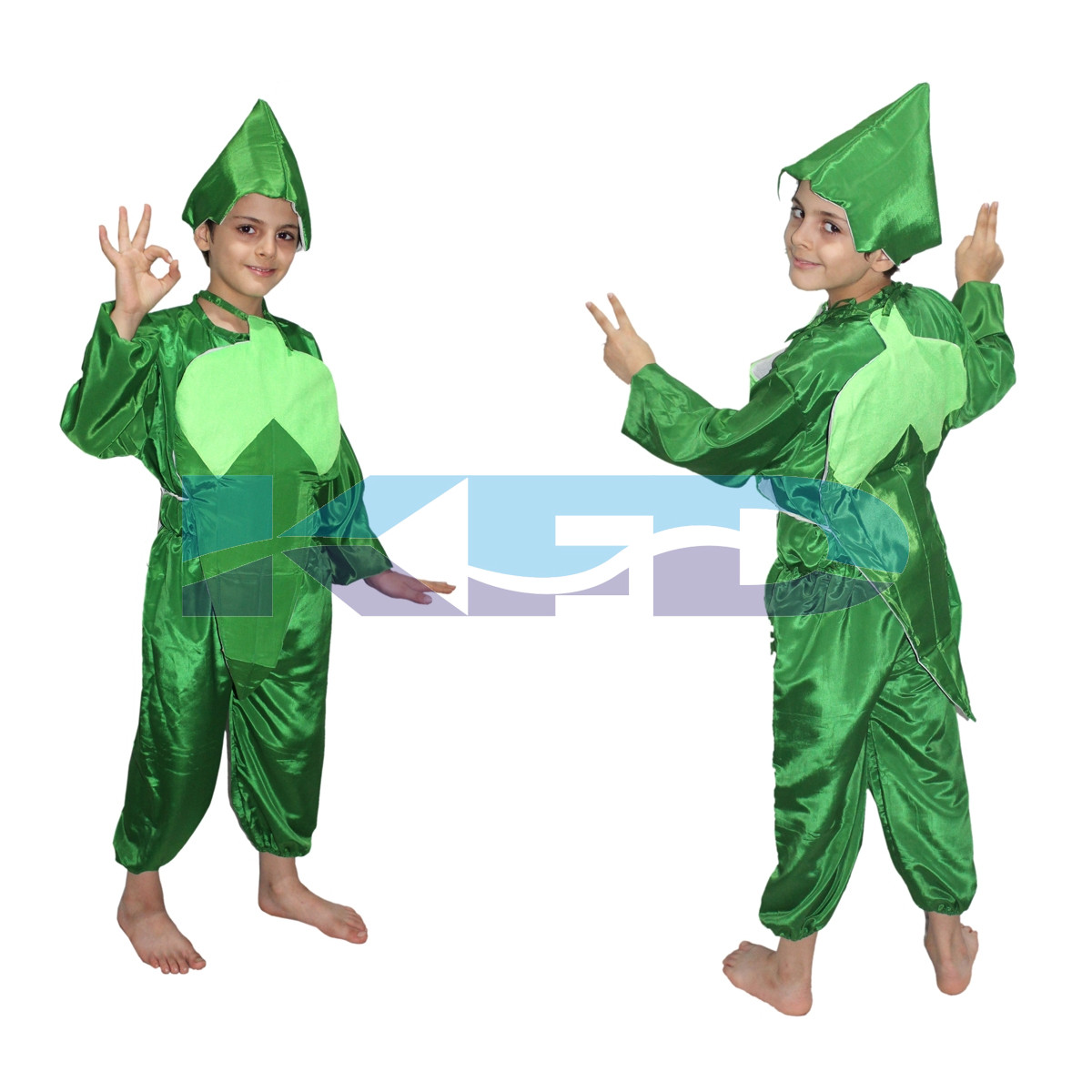Lady finger fancy dress for kids,Vegetables Costume for School Annual function/Theme Party/Competition/Stage Shows Dress