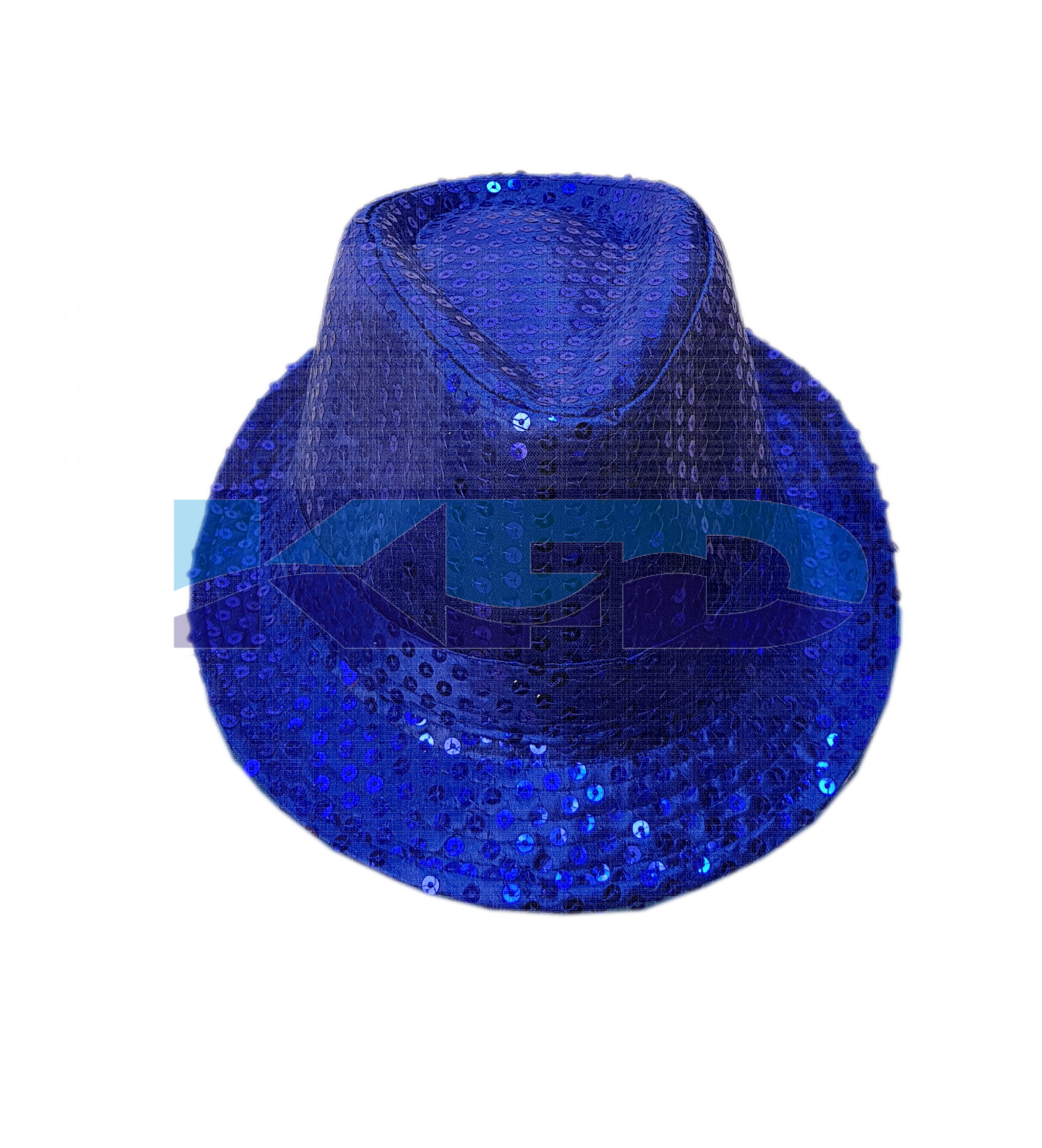 Party Hat Multicolor Annual function/Theme Party/Competition/Stage Shows/Birthday Party Dress