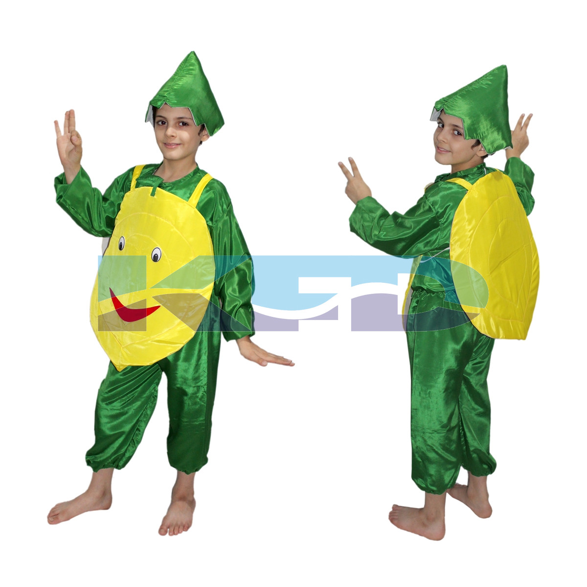 Lemon fancy dress for kids,Vegetable Costume for School Annual function/Theme Party/Competition/Stage Shows Dress