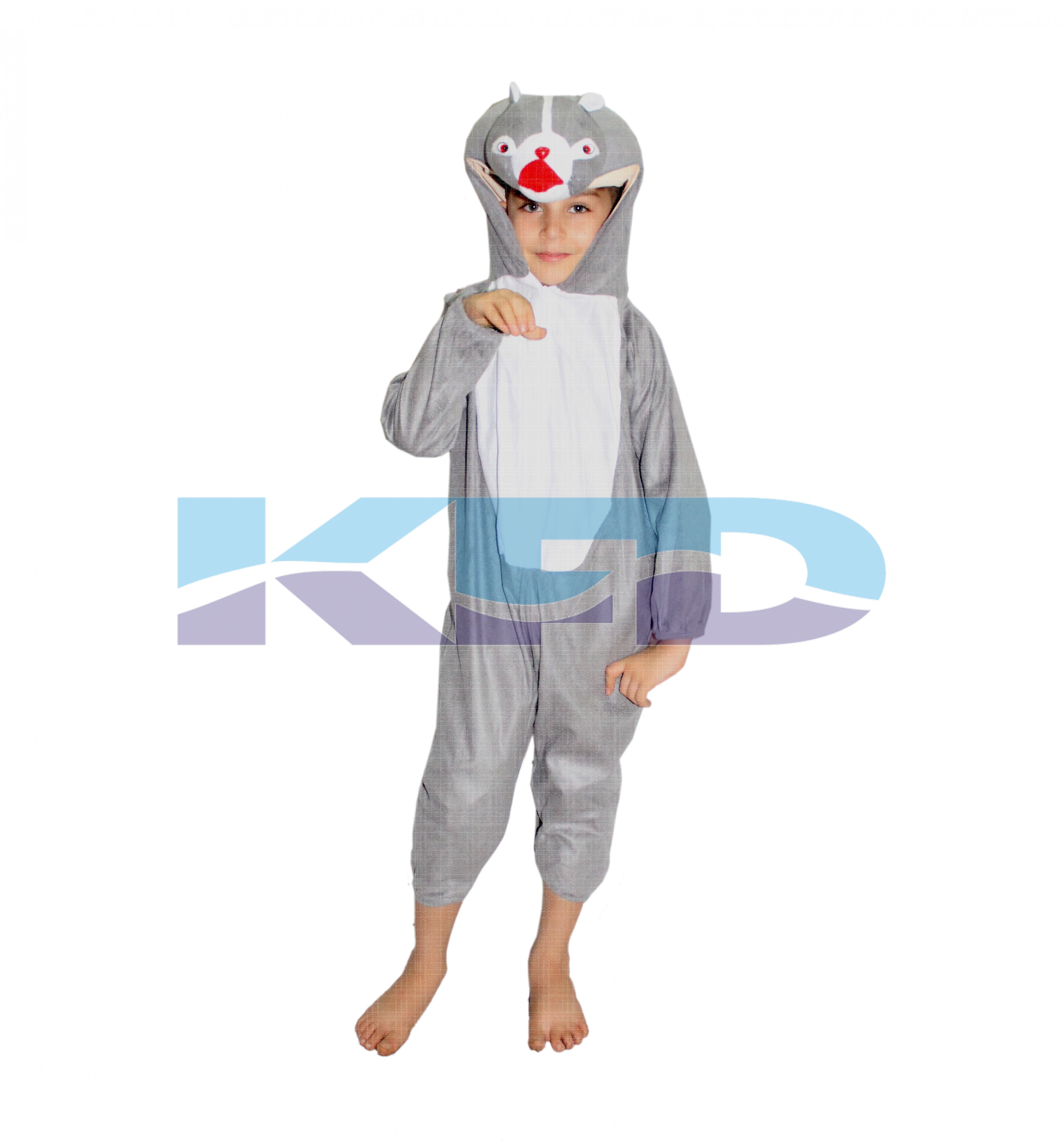 Squirrel fancy dress for kids,Animal Costume for School Annual function/Theme Party/Competition/Stage Shows Dress