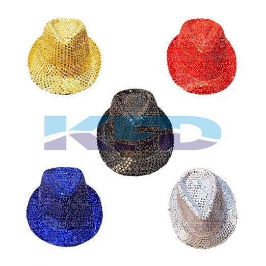 Party Hat Multi Color Annual function/Theme Party/Competition/Stage Shows/Birthday Party Dress