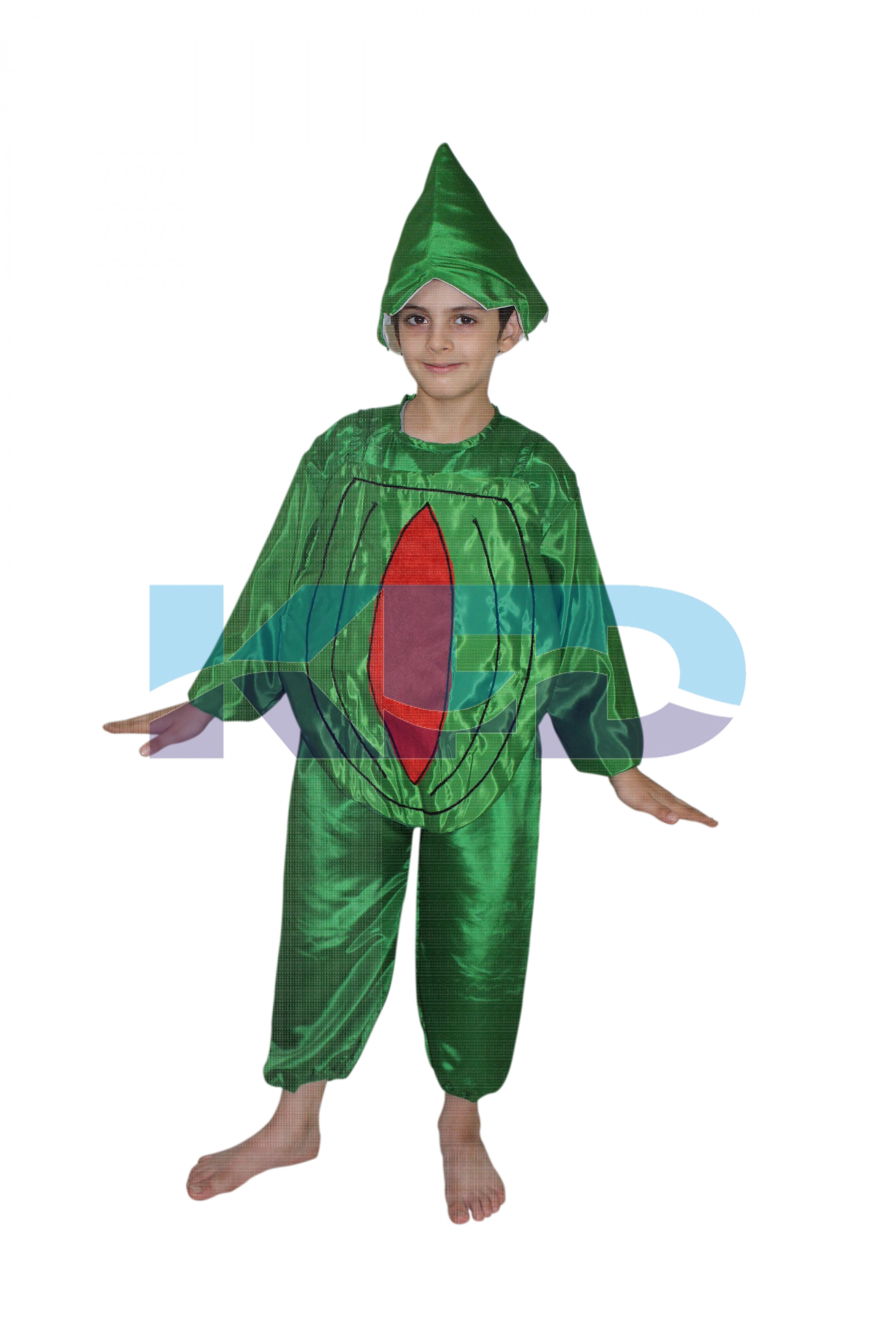 Watermelon fancy dress for kids,Fruits Costume for School Annual function/Theme Party/Competition/Stage Shows Dress