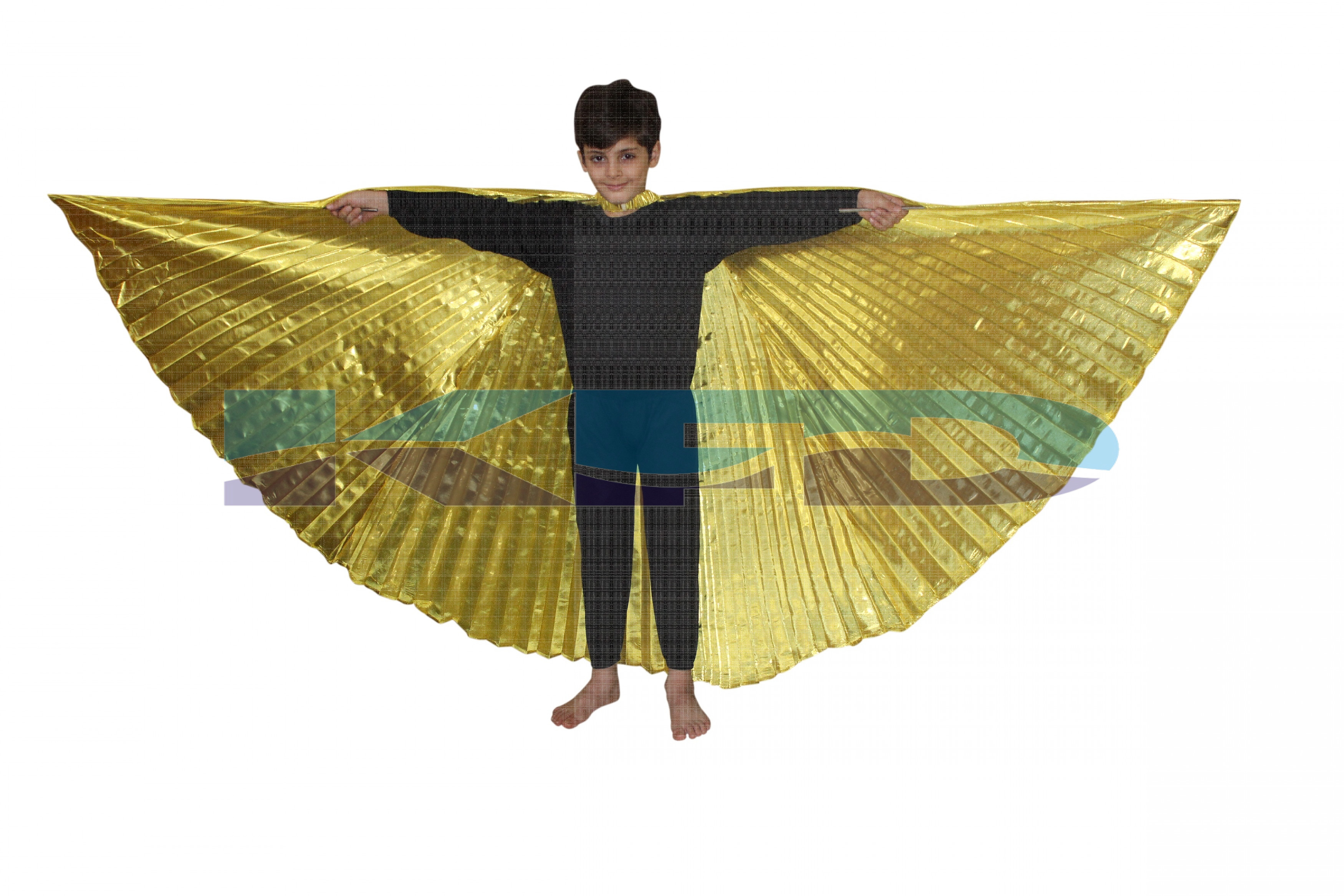 Belly Wings/Butterfly Wings/Cleopatra/Igypcian Dance Wings Full Size/CosPlay Costume For School Annual function/Theme Party/Competition/Stage Shows/Birthday Party Dress