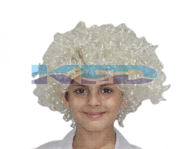 Malinga/Einstein Hair Wig For School Annual function/Theme Party/Competition/Stage Shows Dress