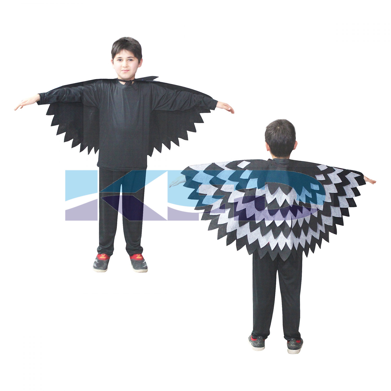 Crow Wings Fancy Dress