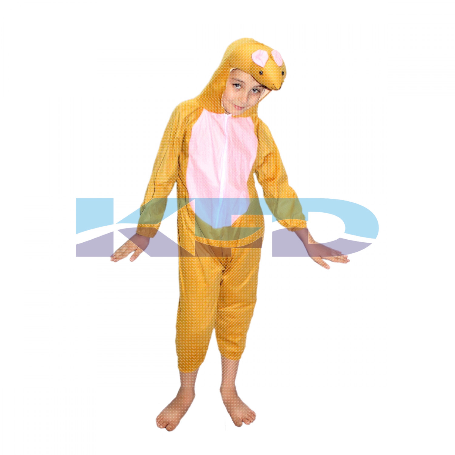 Rat fancy dress for kids,Animal Costume for School Annual function/Theme Party/Competition/Stage Shows Dress