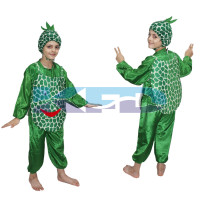 Pineapple fancy dress for kids,Fruits Costume for School Annual function/Theme Party/Competition/Stage Shows Dress