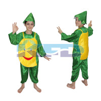 Mango fancy dress for kids,Fruits Costume for Annual function/Theme Party/Competition/Stage Shows Dress