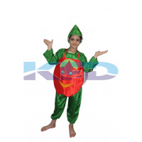 Apple fancy dress for kids,Fruits Costume for School Annual function/Theme Party/Competition/Stage Shows Dress