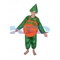 Orange fancy dress for kids,Fruits Costume for School Annual function/Theme Party/Competition/Stage Shows Dress