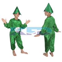 Cauliflower fancy dress for kids,Vegetables Costume for School Annual function/Theme Party/Competition/Stage Shows Dress
