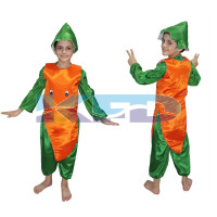 Carrot fancy dress for kids,Fruits Costume for School Annual function/Theme Party/Competition/Stage Shows Dress