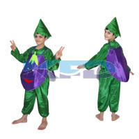 Brinjal fancy dress for kids,Vegetables Costume for School Annual function/Theme Party/Competition/Stage Shows Dress