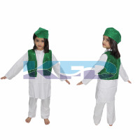 Qawwali Jacket Green
