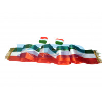 Tri Color Stall/Wrist Band 6 Pieces Set For Independence Day/Republic Day/School Annual function/Theme Party/Competition/Stage Shows/Birthday Party Dress(6 pcs set)