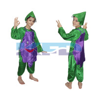 Grapes fancy dress for kids,Fruits Costume for School Annual function/Theme Party/Competition/Stage Shows Dress