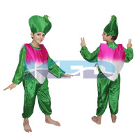 Turnip fancy dress for kids,Vegetables Costume for School Annual function/Theme Party/Competition/Stage Shows Dress