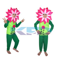 Mazanta Flower with track suit Costume,Rose Costume,Nature Costume For School Annual function/Theme Party/Competition/Stage Shows/Birthday Party Dress