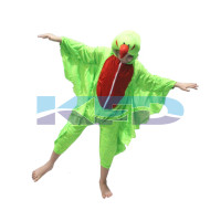 Parrot fancy dress for kids,Bird Costume for School Annual function/Theme Party/Competition/Stage Shows Dress
